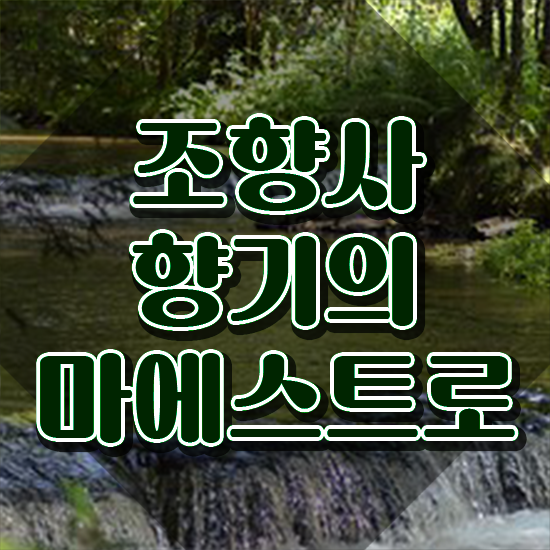  40대후반자격증 , 관련학위 없어도 조향사 걱정하지 말아요