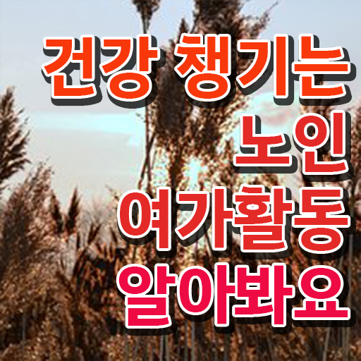  노인여가활동지도사 준비기간 , 동영상으로 노인여가활동지도사 취득방법 최신정보 공유