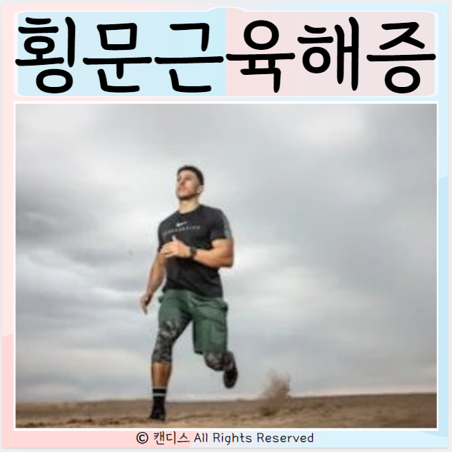  횡문근육해증 원인 증상 사망률
