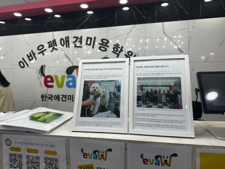  애견미용사 창업 조건, 자금, 매출 어떻게 될까?