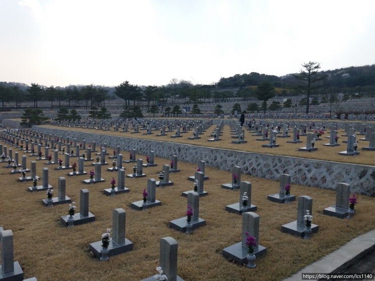 <b>북한</b>, <b>대남</b> 오물<b>풍선</b> 도발을 보고~ㅋ