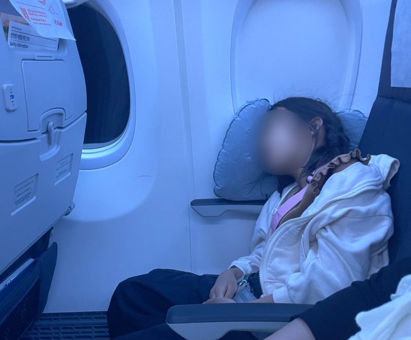 다이소 에어 베개 기내 사용기