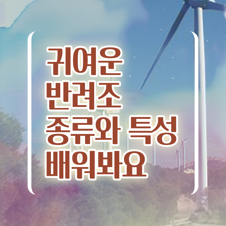 코뉴어 앵무새 가격 , 반려조관리사 자격증 온라인으로 간단히 합격정보 정리했어요