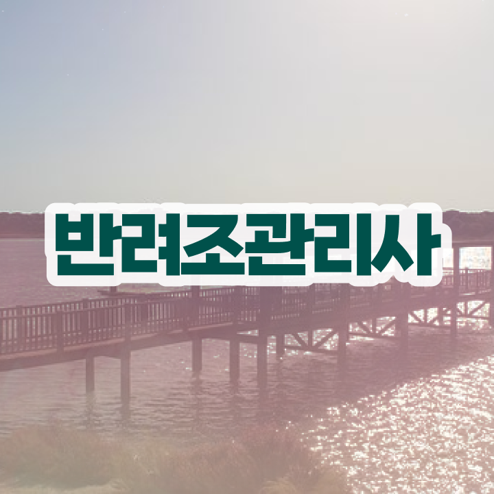  앵무새 , 반려조관리사 자격증 온라인 교육으로 시험준비 , 전망