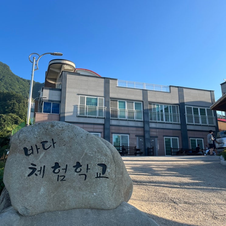  여름휴가지 울릉도 가족 여행 숙소 추천! 현포항 근처 바다체험학교