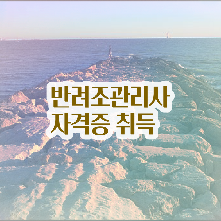  앵무새분양가 , 반려조관리사 자격증 온라인으로 쉽게 합격한 후기 , 전망