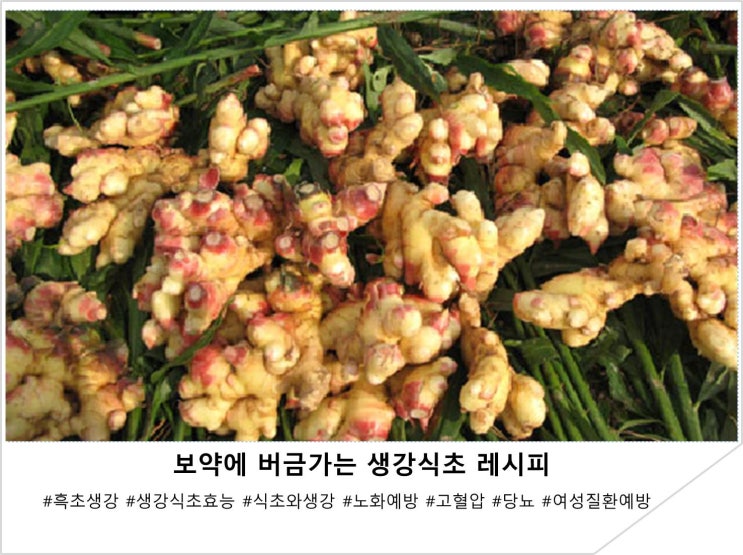  보약에 버금가는 생강식초 레시피