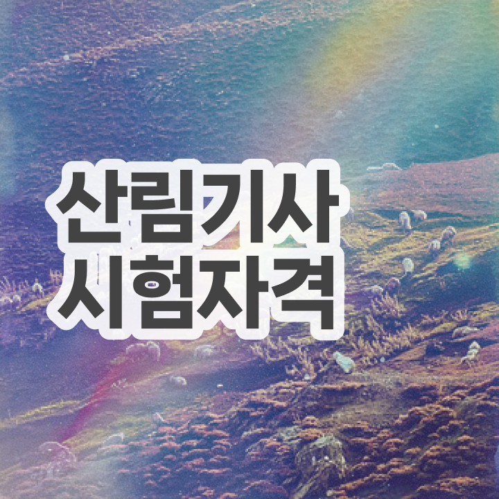  산림기사 관련학과 산림기사 자격요건 독학으로 4달 안에 끝낸 팁