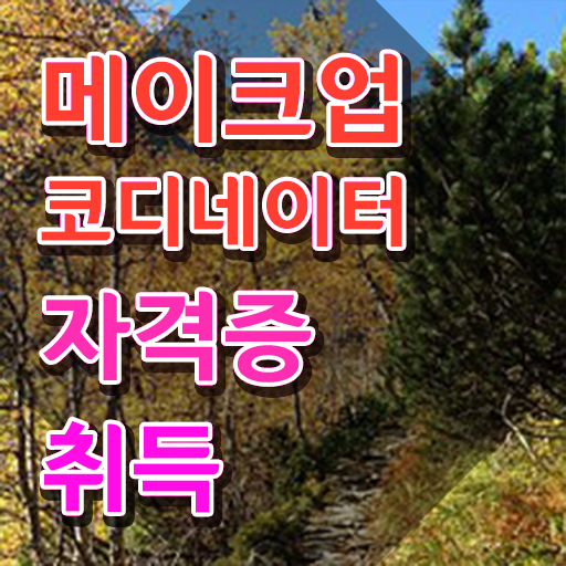  메이크업국가자격증 , 메이크업코디네이터 자격증 온라인 교육으로 합격한 전략 필수 정보