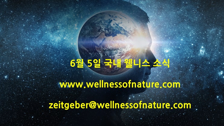  20024년 6월 5일 국내 웰니스 소식