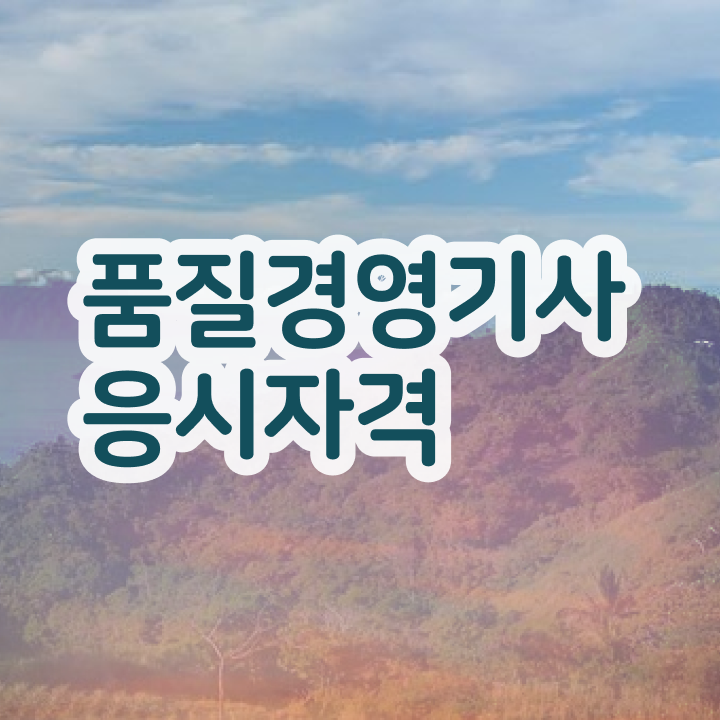 품질경영기사 품질경영기사 시험자격 독학으로 4달 안에 준비한 방법