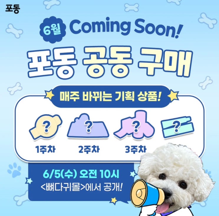  포동 서포터즈 7기 초대박 공동구매 포동데이 할인 페스타