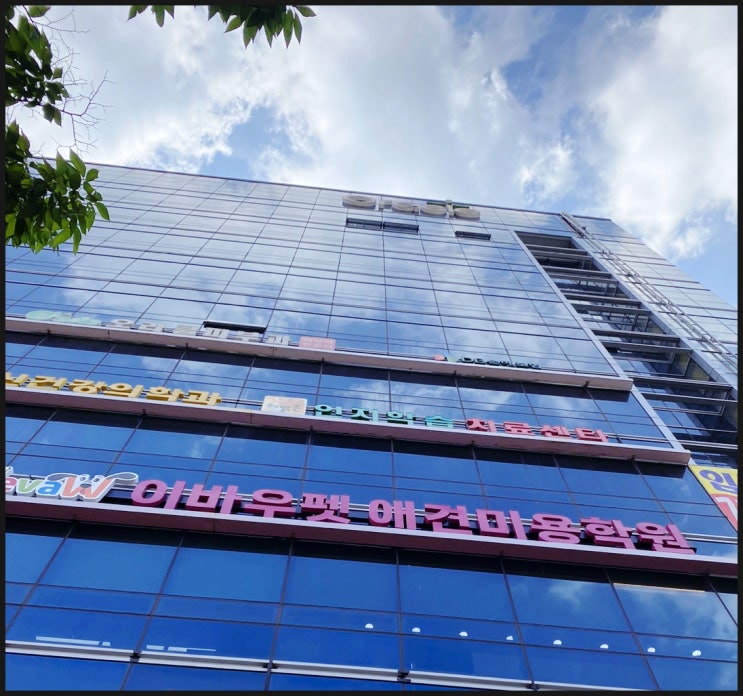  전국 12개 직영점 이바우펫 수업비용 절감 신청하는 방법!