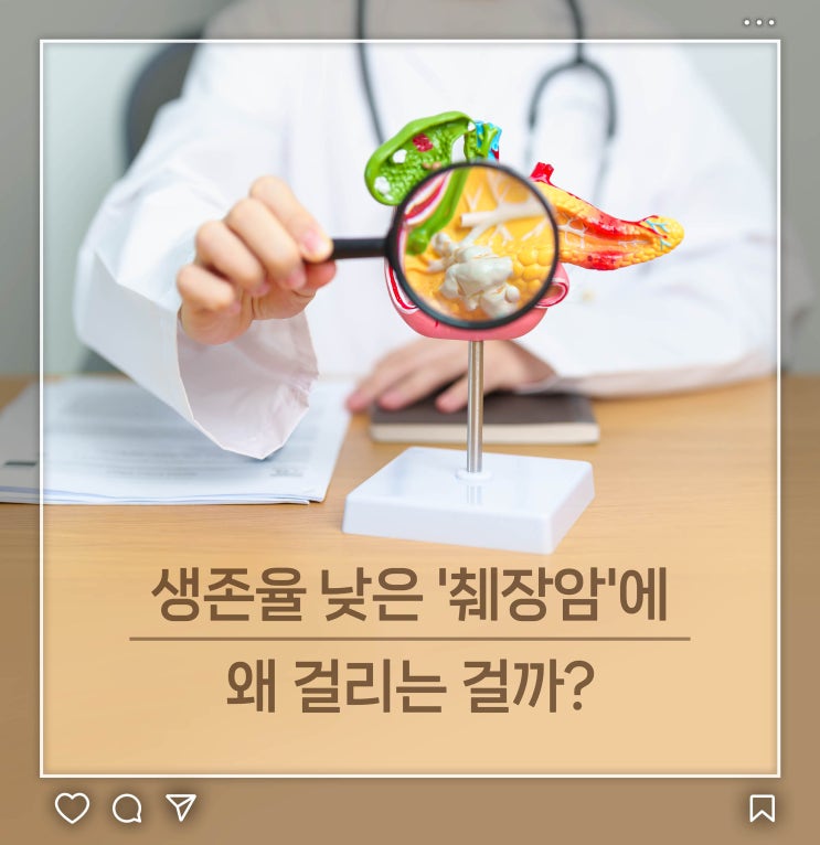  생존율 낮은 '췌장암'에 왜 걸리는 걸까?