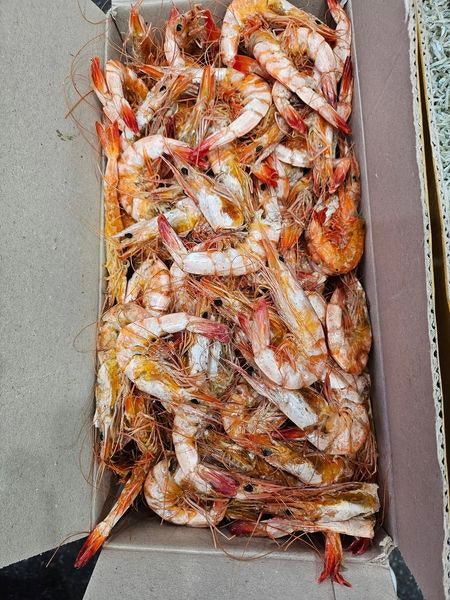  말린 대하 효능과 말린 새우 볶음