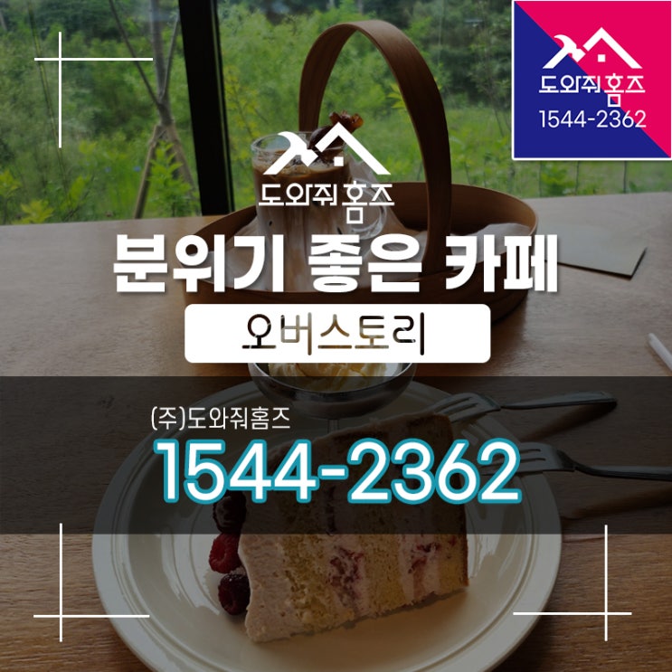  [도와줘홈즈 오늘..] 숲속 분위기 성북구 커피숍 오버스토리