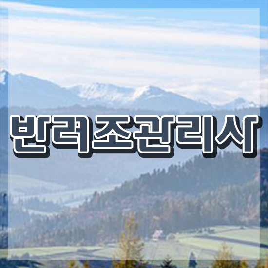  앵무새키우기 , 반려조관리사 자격증 15일 만에 학습한 후기 및 활용 방법