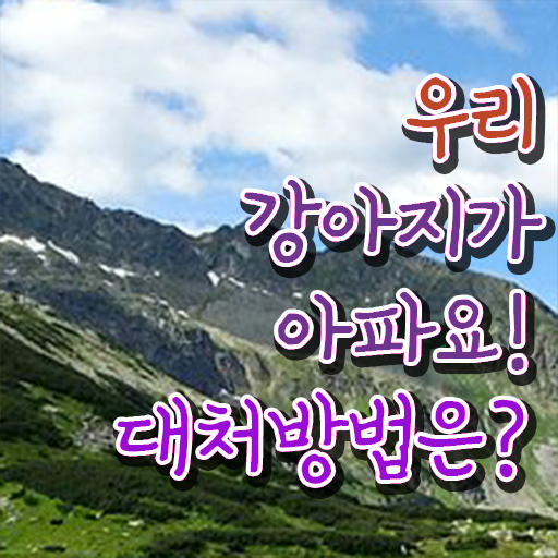  50대주부취업 , 반려동물관리사 자격증 응시자격 없이 합격한 팁 , 취업 전망