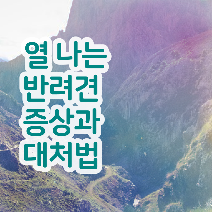  , 반려동물관리사 자격증 취득한 방법 짚어드려요