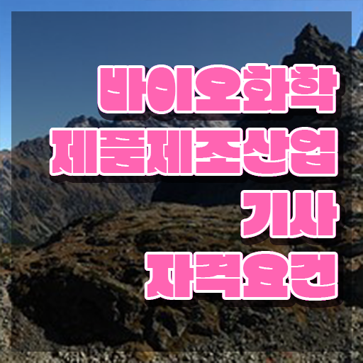  바이오화학제품제조산업기사 자격요건 인강으로 4달 안에 준비한 방법
