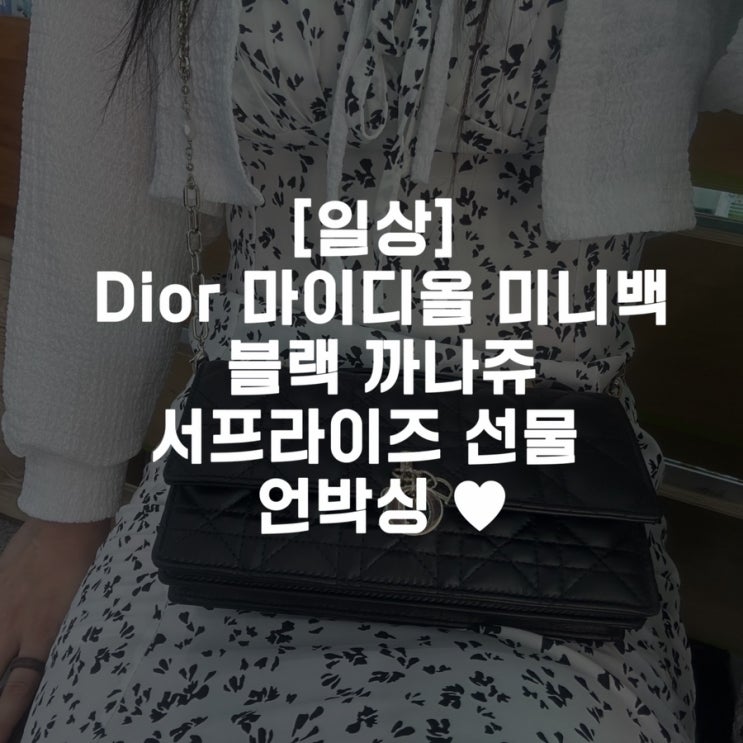  [일상] Dior 마이디올 미니백 블랙 까나쥬 서프라이즈 선물 언박싱 