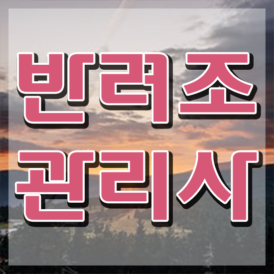  말하는 앵무새 가격 , 반려조관리사 자격증 취득한 방법 알아볼게요