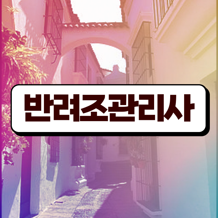  코뉴어앵무새먹이 , 반려조관리사 자격증 합격한 후기 여기서 확인하세요