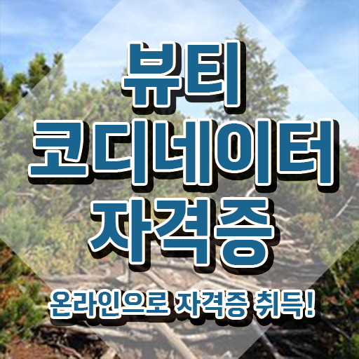 코디네이터 , 뷰티코디네이터 자격증 2주 만에 취득한 과정 공유드려요