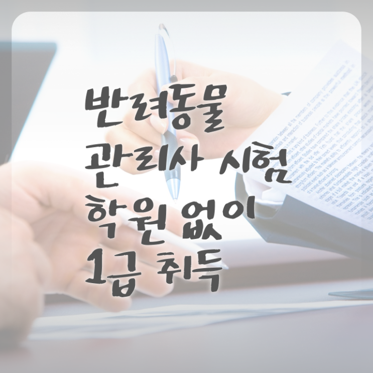  반려동물관리사 시험 , 반려동물관리사 자격증 단기간에 합격한 전략 체크해보세요