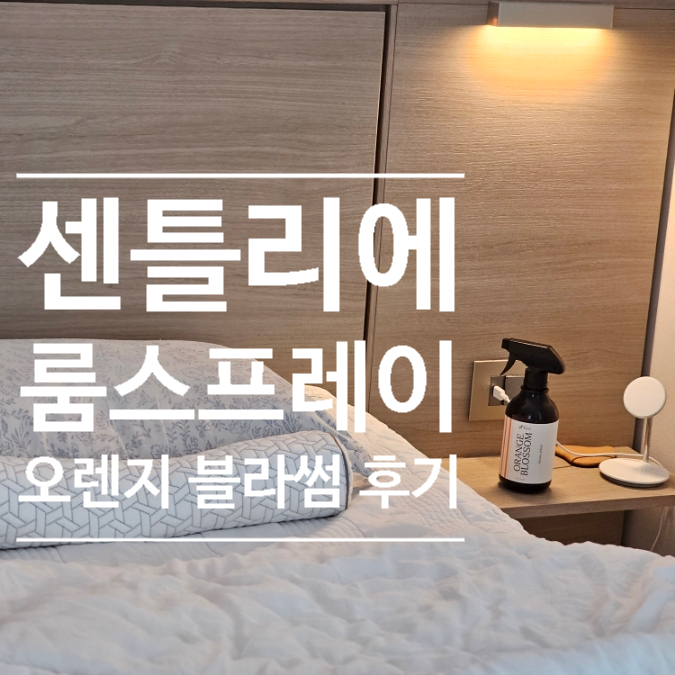 고급스러운 오렌지 향 룰루레몬 매장향을 집에서, 센틀리에 룸스프레이 추천