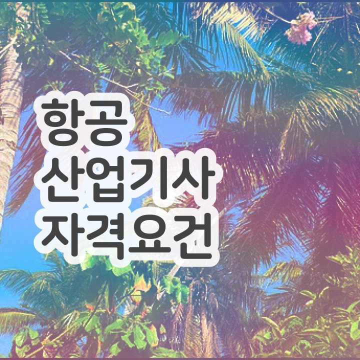  항공산업기사 난이도 항공산업기사 자격요건 온라인 과정으로 15주만에 성공한 후기