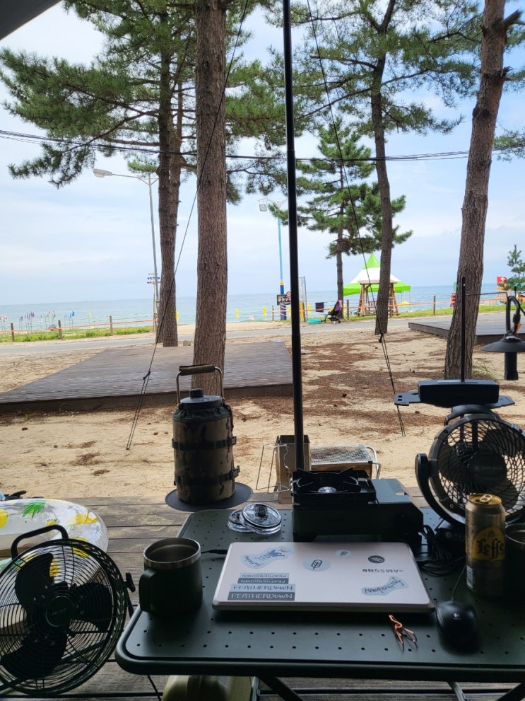  강원도 양양 북분솔밭캠핑장_ 바닷가 캠핑 2박 후기