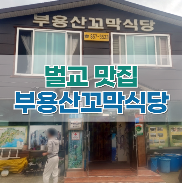  벌교 맛집 '부용산 꼬막 식당' (feat. 꼬막정식)