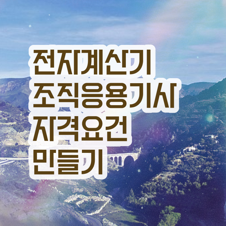  전자계산기조직응용기사 취득자격 온라인으로 4달만에 완료한 과정