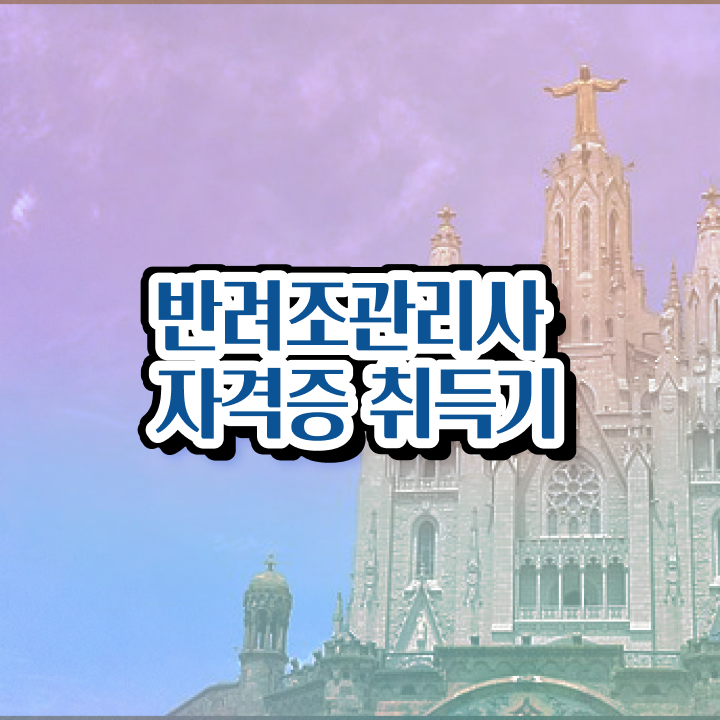  말하는 앵무새 종류 , 반려조관리사 자격증 합격한 전략 요점정리