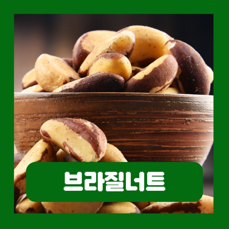  브라질너트 효능 하루 권장 섭취량 셀레늄 부작용 보관법