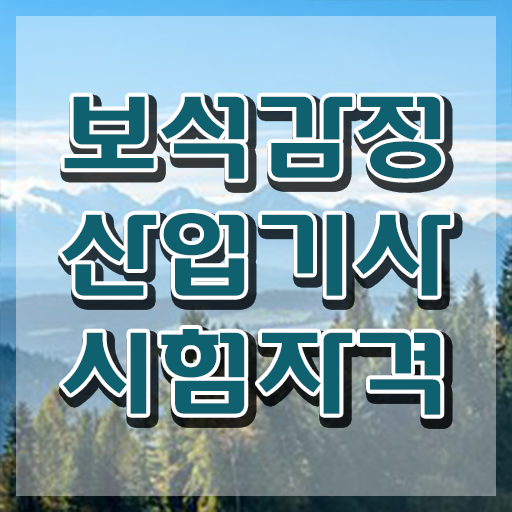  보석감정산업기사 필기 난이도 보석감정산업기사 시험응시조건 온라인 과정으로 4달 안에 준비한 노하우