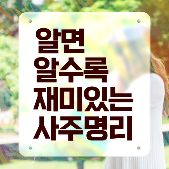  사주 팔자 , 심리상담사 자격증 간단하게 취득한 방법 및 향후 전망