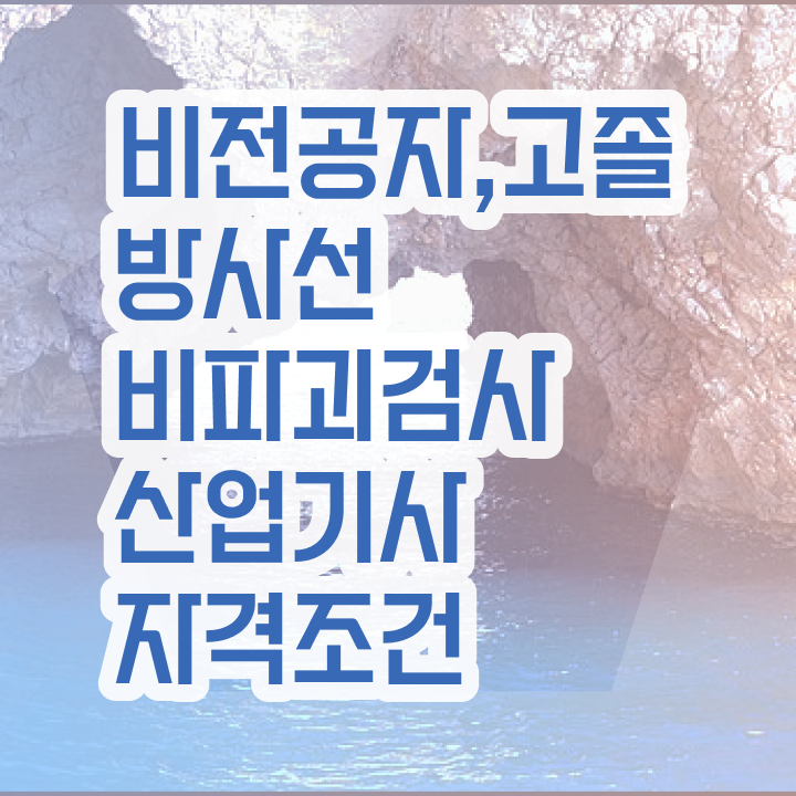 방사선비파괴검사산업기사 자격요건 방사선비파괴검사산업기사 자격요건 온라인 수업으로 4개월 만에 완료한 후기