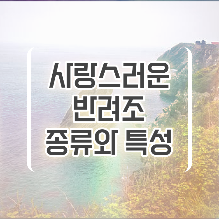  사랑앵무 키우기 , 반려조관리사 자격증 15일 만에 취득한 과정 , 활용 방법