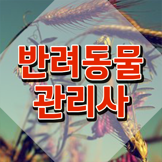  반려견행동교정사자격증 , 반려동물관리사 자격증 합격한 후기 소개