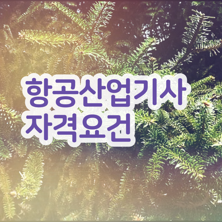  항공산업기사 응시자격 항공산업기사 응시자격 학점은행제로 4달만에 완료한 전략