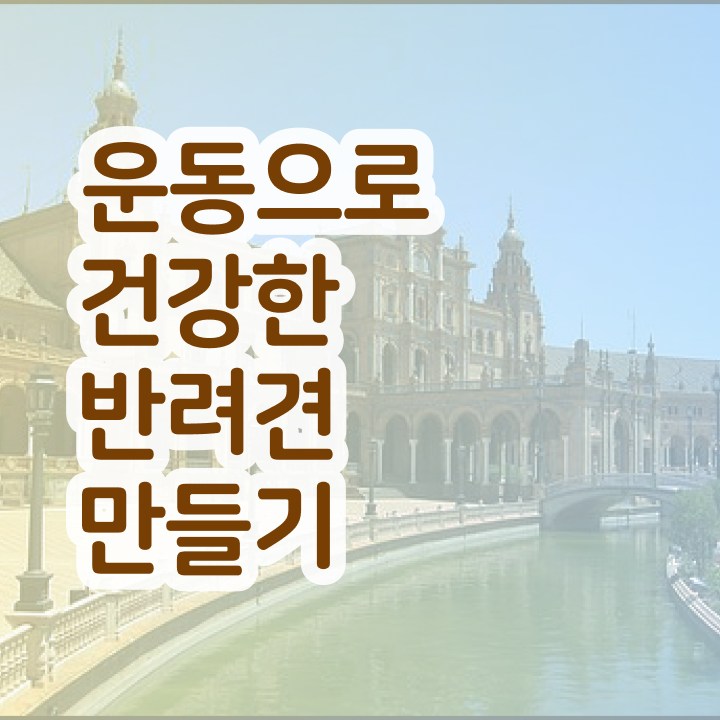  40대후반자격증 , 반려견운동지도사 혼자서 독학으로 단기간에 완료한 후기