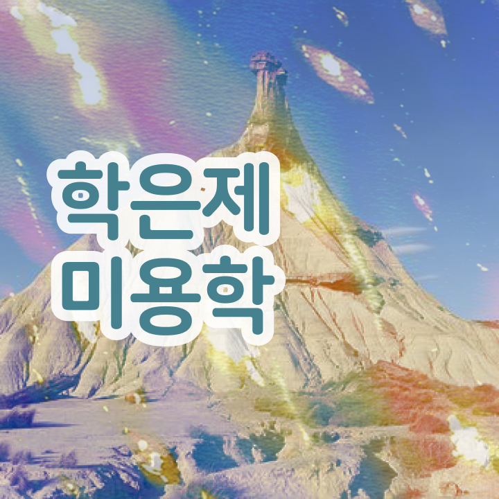  미용사 되는법 , 6개월 만에 종합미용면허증 갖추고 샵까지 차렸어요