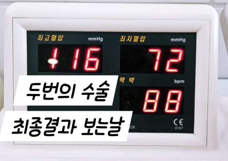  유방 종양제거 수술 정밀검사 최종결과