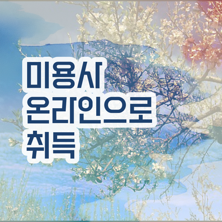  피부미용사 전망 , 피부관리사 준비 하나도 모른다면 챙겨야 하는 면허증은? 및 꿀팁