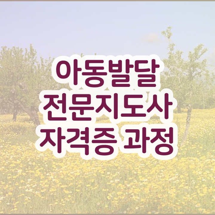  아동발달전문지도사 필기공부방법 , 아동발달전문지도사 자격증 1급,2급 동시에 합격한 팁 및 온라인 무료강의