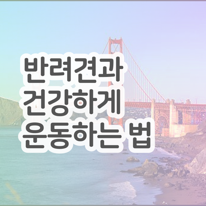  , 반려견운동지도사 비전공 무경력자도 쉽고 빠르게 끝내는 팁