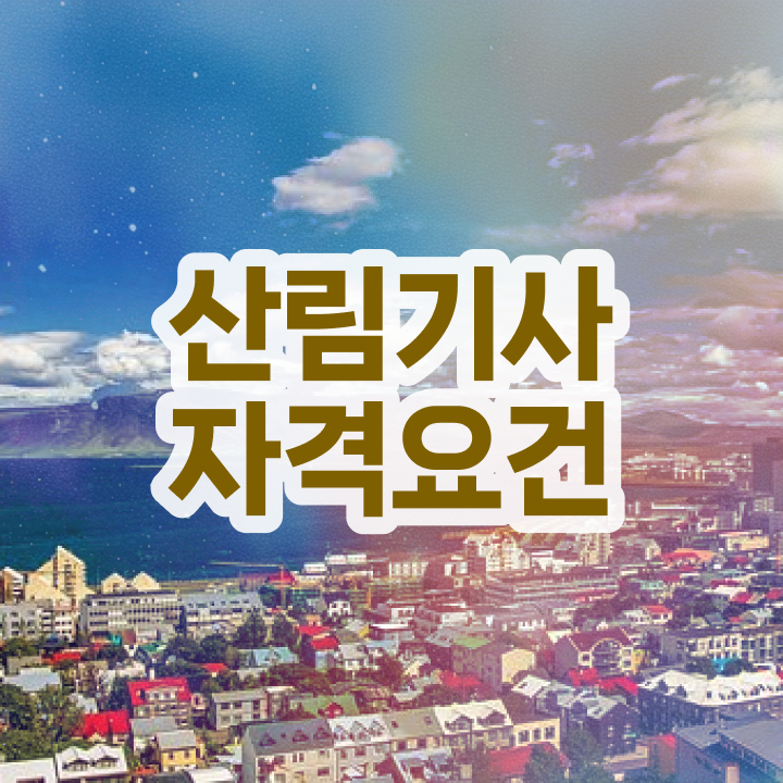  산림기사 필기문제 산림기사 시험자격 집에서 온라인으로 4달 안에 성공한 후기