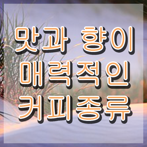  커피바리스타 1급 , 바리스타 자격증 15일 만에 합격한 후기 여기만 보세요